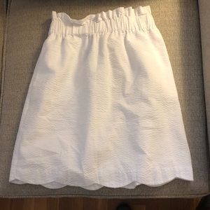 Lauren James Seersucker Skirt